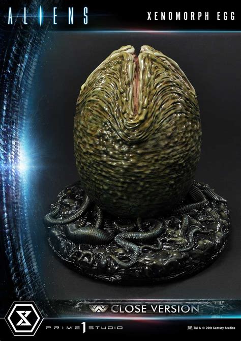 uncover creations|Exciting Launch of Large Alien Eggs